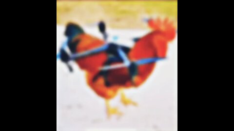 ​#Funny #Comedy #Laugh #Memes #Jokes