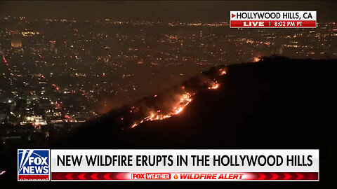 Another Wildfire Erupts In The Hollywood Hills