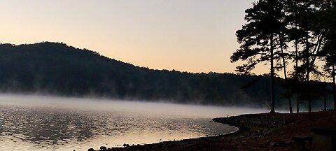 The sounds of Morning