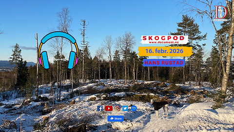 Skogpod 16. februar 2026