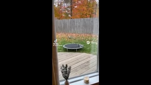 Need a laugh here and there ;)