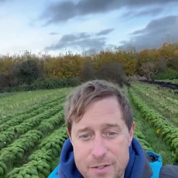 “They tested for 870 different types of chemical”