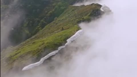 Daily Horoscope | Capricorn 🌟