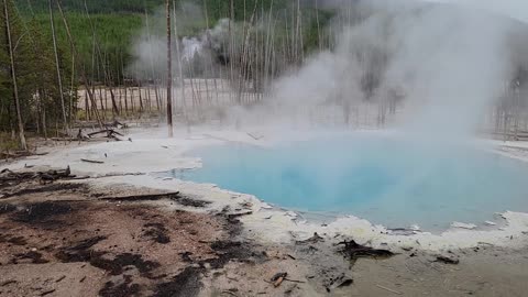 Emerald Spring in Yellowstone National Park