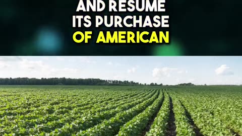 Here’s everything you need to know about the Trump-Xi meeting.