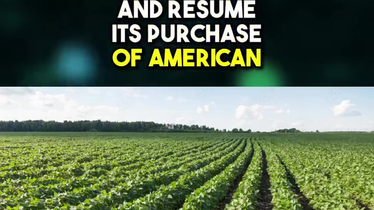 Here’s everything you need to know about the Trump-Xi meeting.