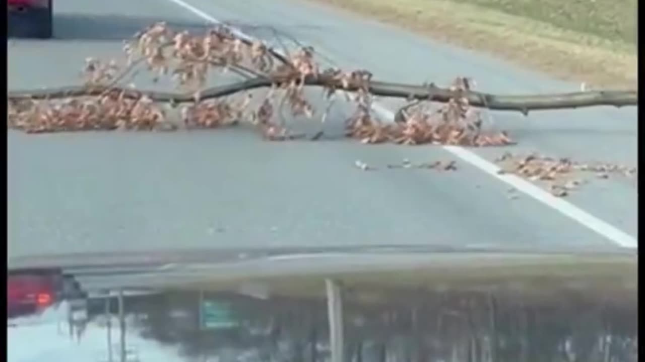 Hard Working Canadian Seen Crossing The Road