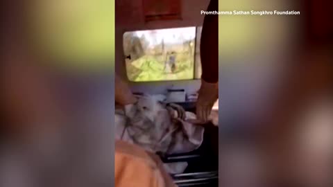 At least 25 killed, 80 injured in Thailand train derailment