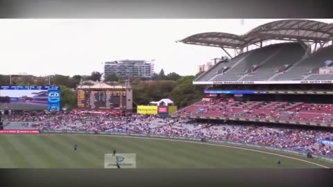 10_Unbelievable_Juggling_Catches_In_Cricket