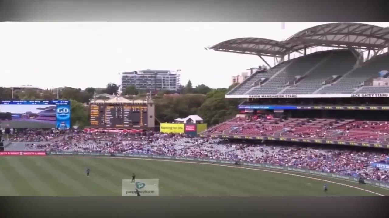 10_Unbelievable_Juggling_Catches_In_Cricket