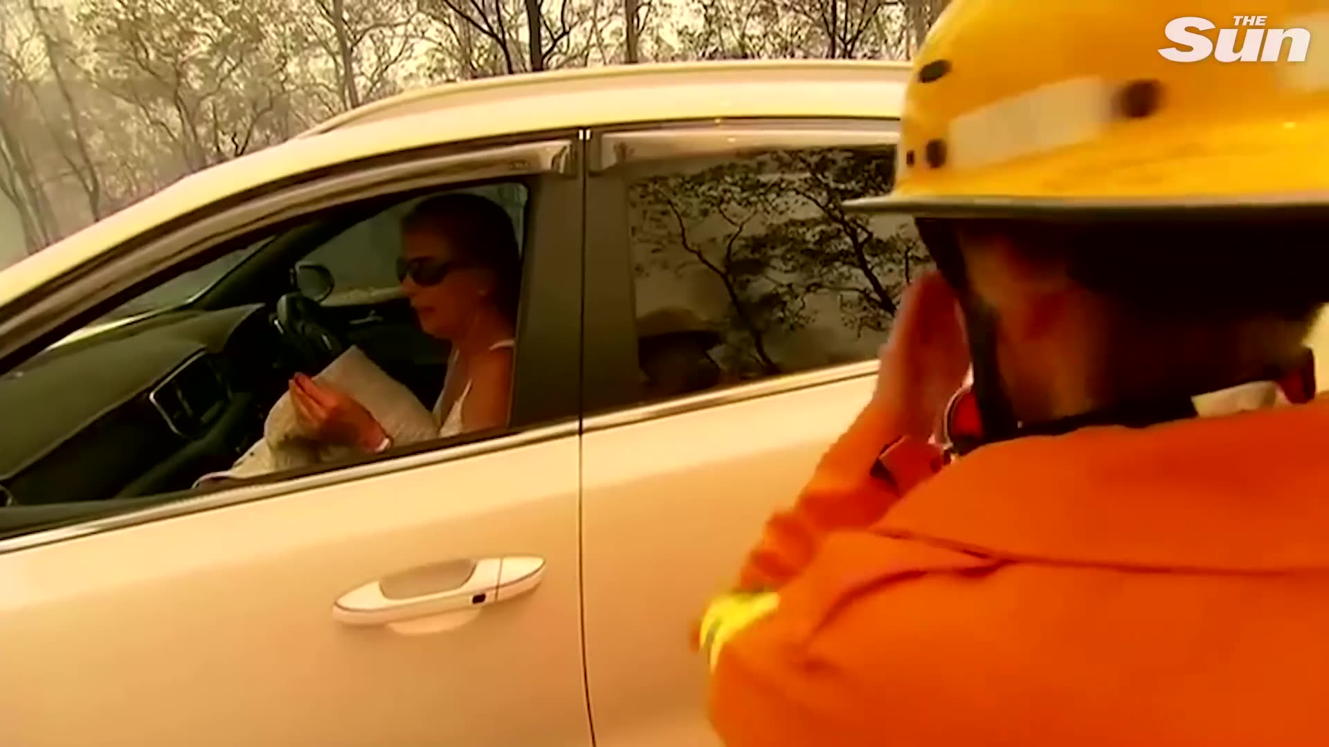 Woman saves scorched koala from Australian bushfire