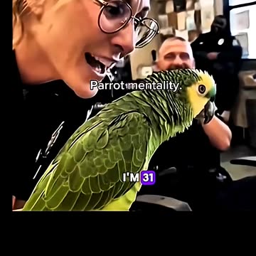Parrot Mentality 😄