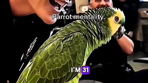 Parrot Mentality 😄