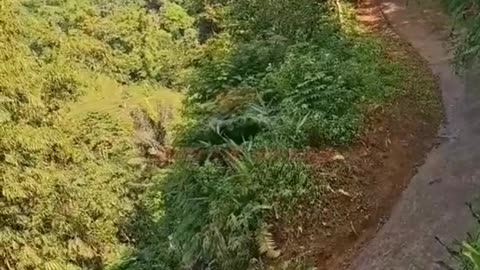 The truck passes a deadly incline on top of a mountain