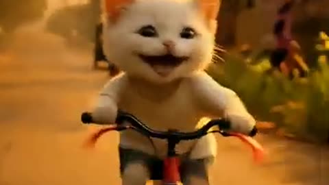 Cats Story
