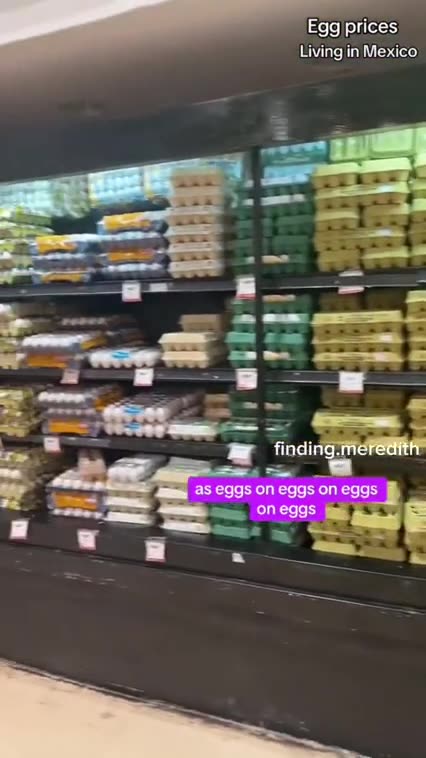 THE BIRD FLU 🥚 MISSES 🇲🇽 MEXICO❗