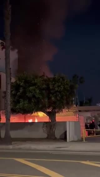 KanekoaTheGreat-Andrew Huberman caught people starting a fire in Santa Monica