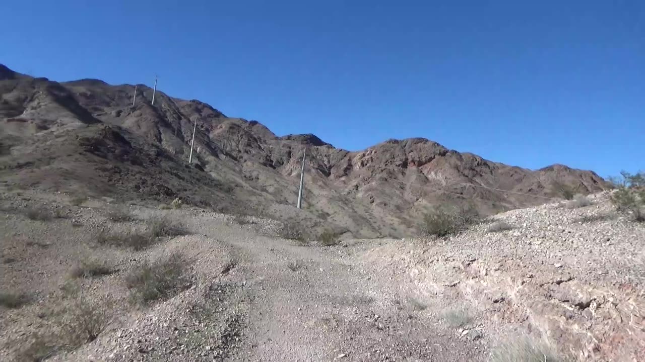 Dead Goats, Dead Turtles, and Limestones