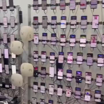 Rep. Anna Paulina Luna · Bot farms are real.