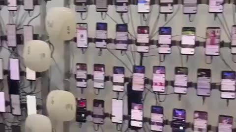 Rep. Anna Paulina Luna · Bot farms are real.