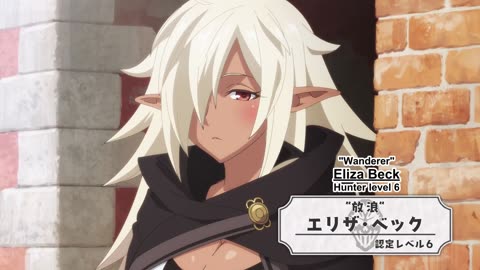 elf version of zoro | Let This Grieving Soul Retire Part 2