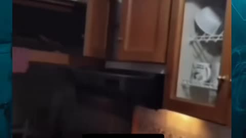 😱👻 Skinwalker in the Shadows! Can You Spot It? | TheHauntingHour