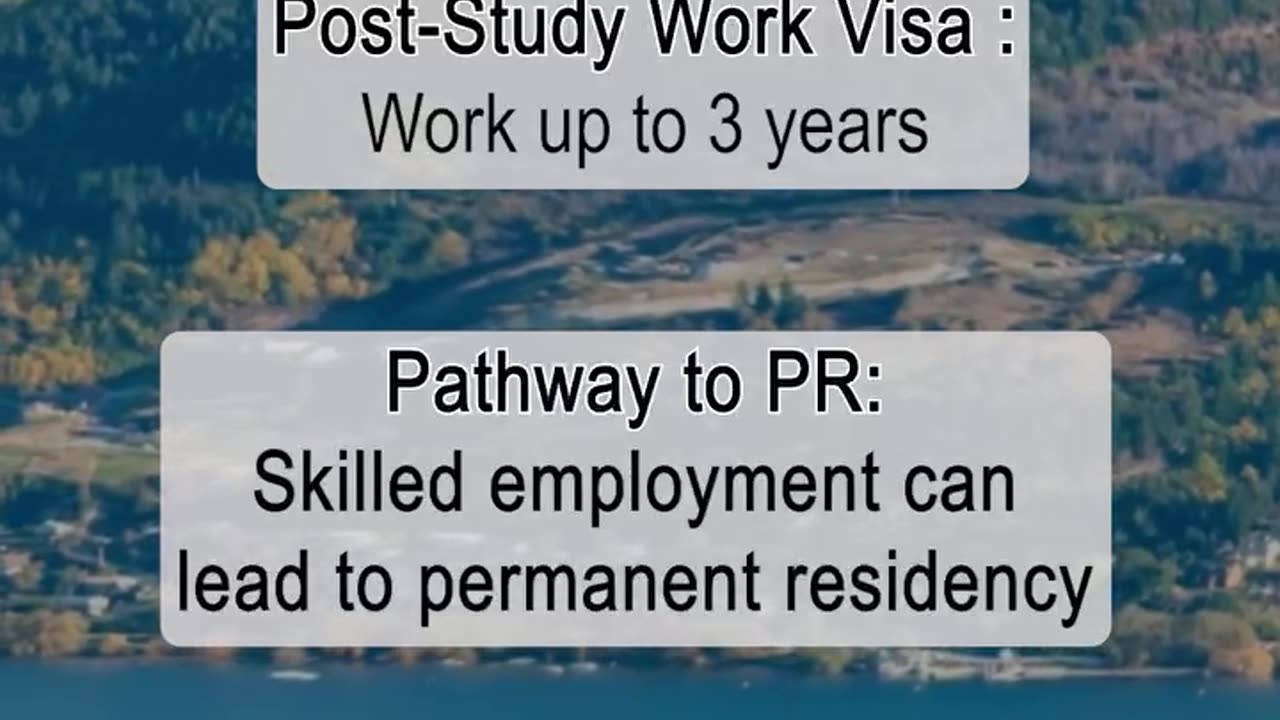 Studying abroad isn’t just about education