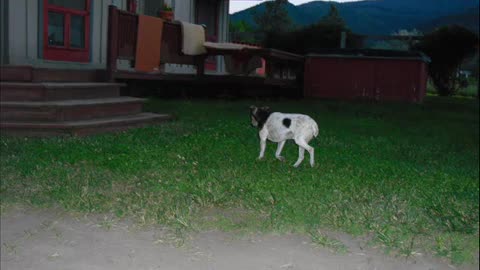 HEY THERE DUGAN HERE