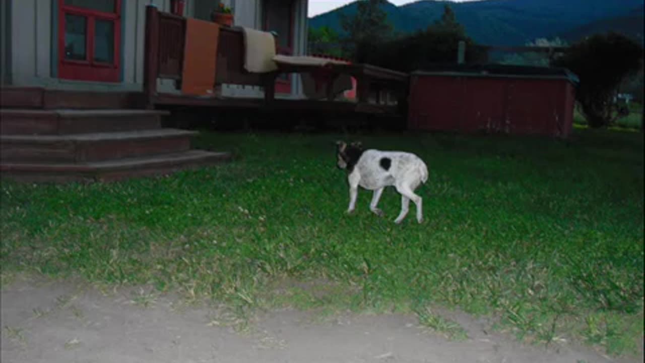 HEY THERE DUGAN HERE