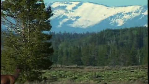 Conserving the Nature of America - Conserving the Nature of America - gov.fws.aws.4.7