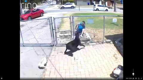 Poor guy was just trying to do his job