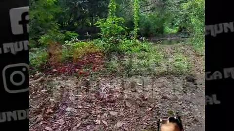 Wiu Wiu en busca de pistas sobre Brianna Genao