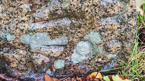 America's oldest sign - Milestone Boston 25 (est. 1709): Ipswich, MA
