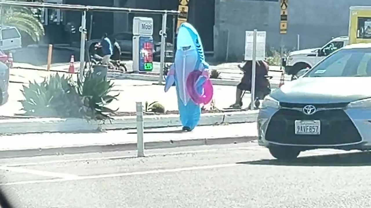 🦈😱 Jaws is on the Prowl! | FunFM