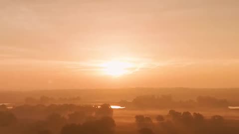 Daily Horoscope | Pisces 🌟