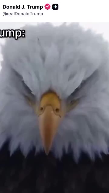 Badass POTUS Being A Badass.. | #TruthSocial