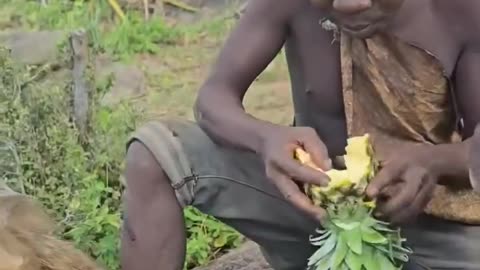 Hadzabe Tribe Enjoy Pinnepal Fruits