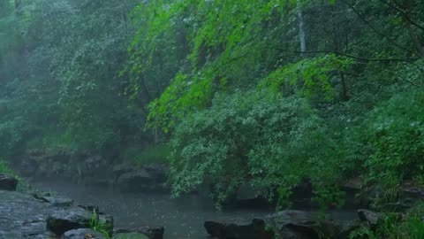 The streams and rain in the valley