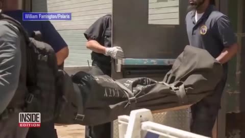 Q - The Plan to Save the World