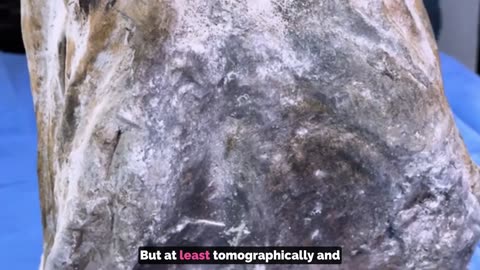 😱👽 Peru's Expert Finds Non-Human Traits in Paloma's Exam! | TheTruthAbove