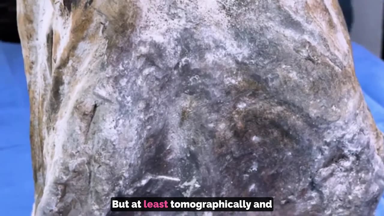 😱👽 Peru's Expert Finds Non-Human Traits in Paloma's Exam! | TheTruthAbove