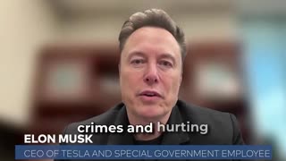 Elon4AFD - Elon Musk: Only the AfD can save Germany