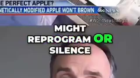 anti browning gene therapy causies transgenic pollution in the people that eat it....