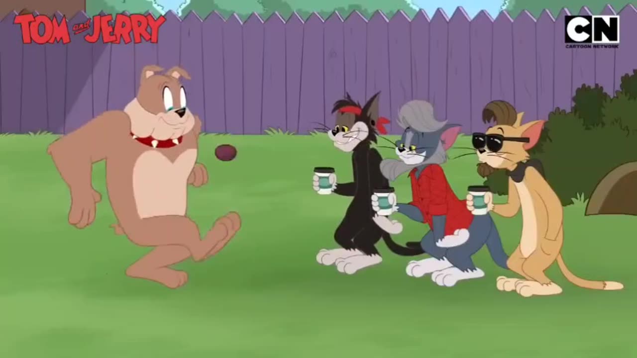 Tom and jerry fun part 1