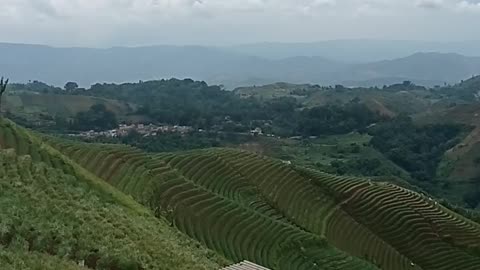 Beautiful of Panyaweuyan terraces