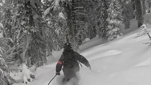 Iowa Boy Skiing on a Powder Day