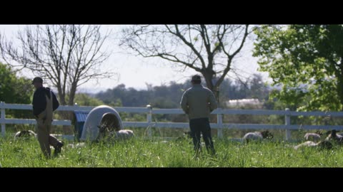 Mi pequeña gran granja