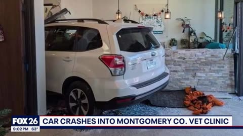 Houston 'brick lady' sentenced in GoFundMe theft case