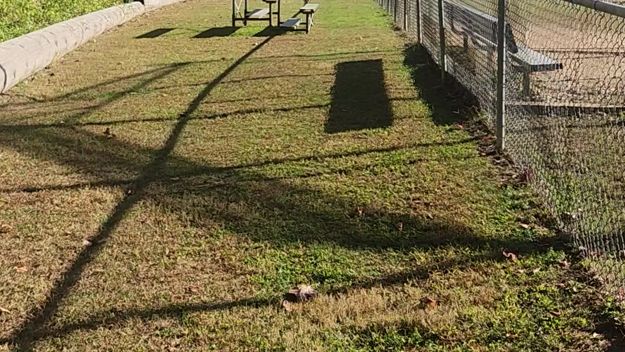 Found in the Storm