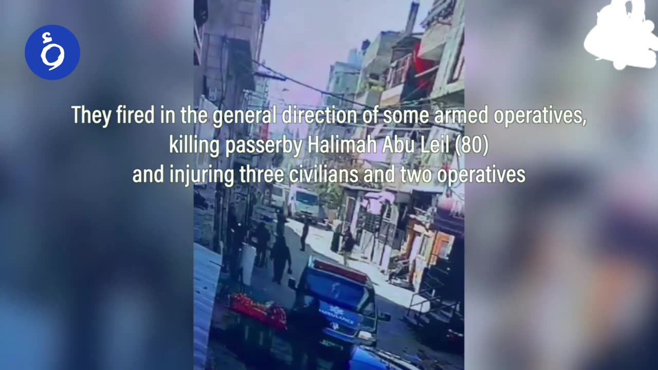 Human Rights Violations in Palestine: Israel's Occupation and Violence